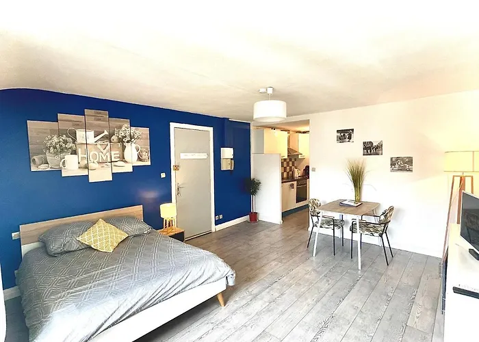 Entier - Centre - 30 M2 - Calme - Cour Interieure Securise Velos - 50m Du Marche De شقة